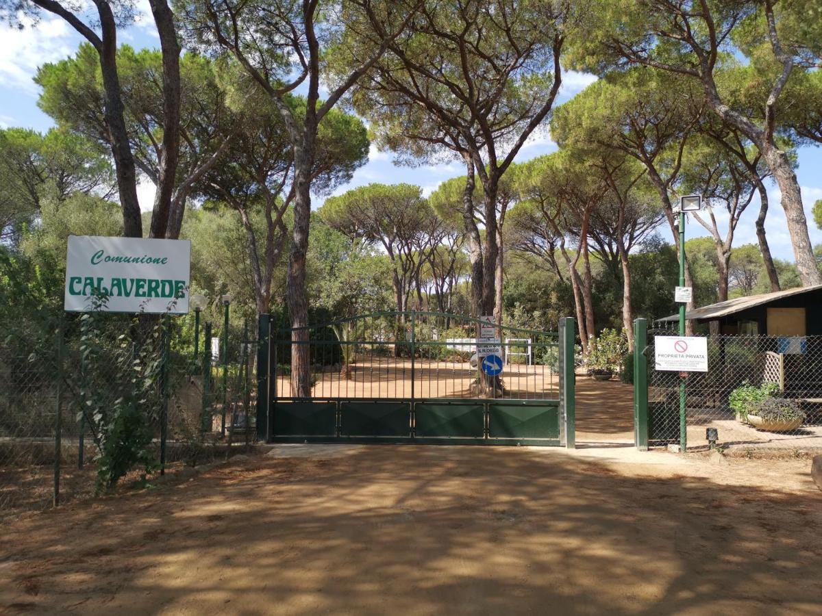 Deliziosa Villetta Sul Mare Appena Ristrutturata Pula Exteriér fotografie